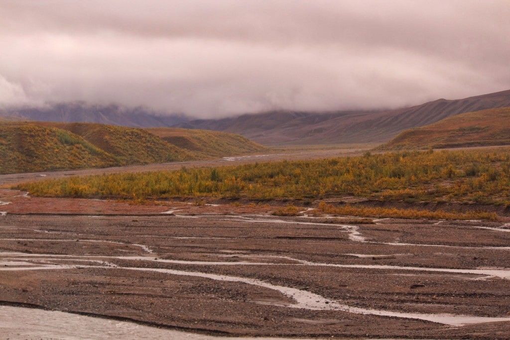 Denali National Park